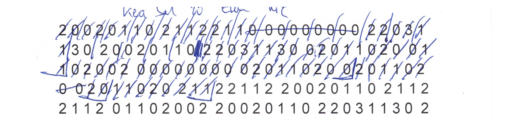 Sand_Kea_Remix-1-IMG_143